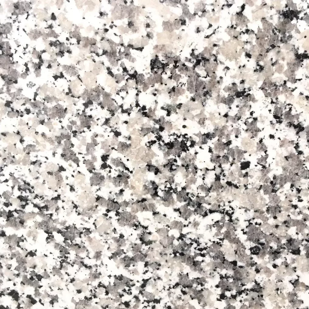 Bianco Sardo