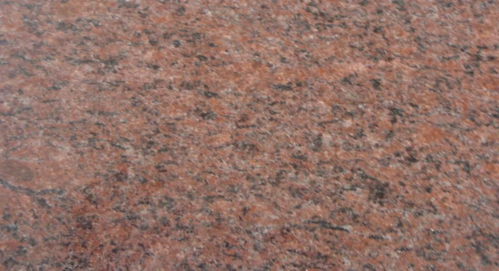 Vanga red